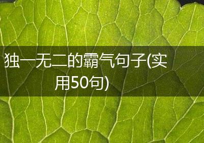 独一无二的霸气句子(实用50句)