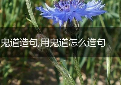 鬼道造句,用鬼道怎么造句