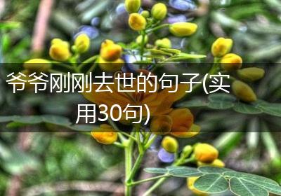 爷爷刚刚去世的句子(实用30句)