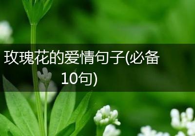 玫瑰花的爱情句子(必备10句)