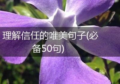 理解信任的唯美句子(必备50句)