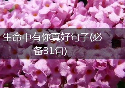 生命中有你真好句子(必备31句)