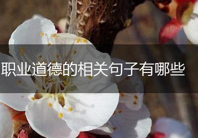 职业道德的相关句子有哪些