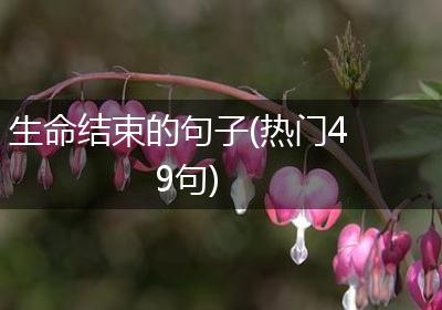 生命结束的句子(热门49句)