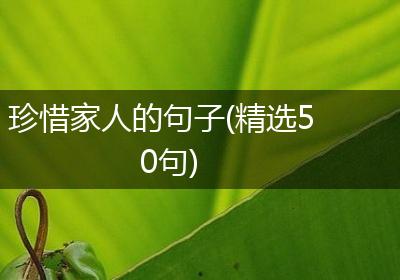 珍惜家人的句子(精选50句)