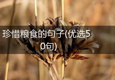珍惜粮食的句子(优选50句)