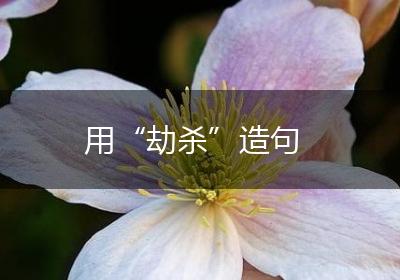 用“劫杀”造句