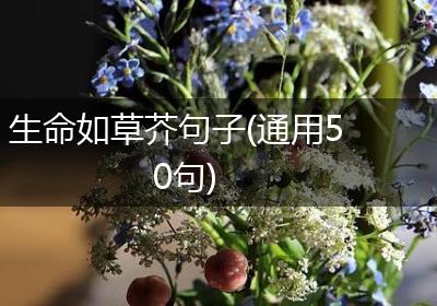 生命如草芥句子(通用50句)