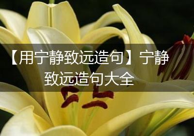 【用宁静致远造句】宁静致远造句大全