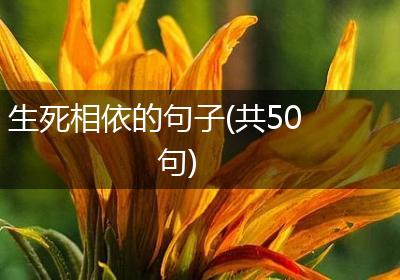生死相依的句子(共50句)