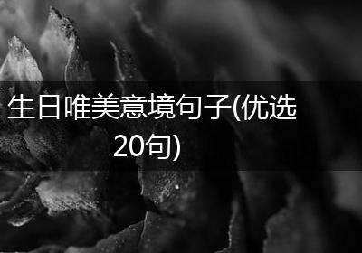 生日唯美意境句子(优选20句)
