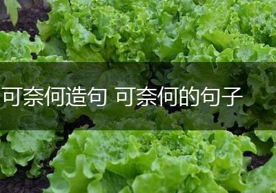 可奈何造句 可奈何的句子
