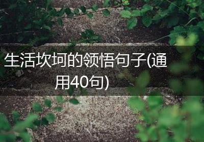 生活坎坷的领悟句子(通用40句)