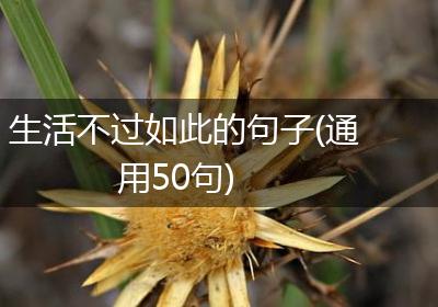 生活不过如此的句子(通用50句)