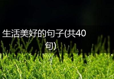生活美好的句子(共40句)