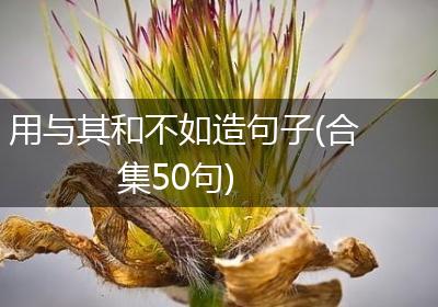 用与其和不如造句子(合集50句)