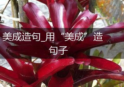 美成造句_用“美成”造句子