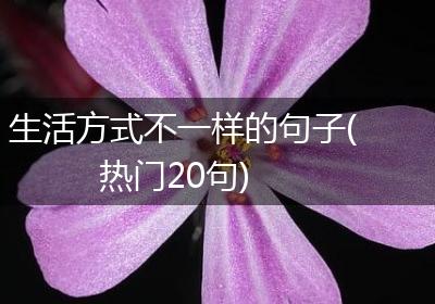 生活方式不一样的句子(热门20句)