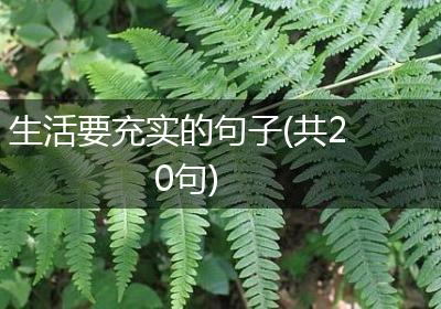 生活要充实的句子(共20句)