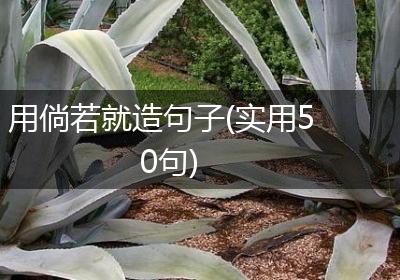 用倘若就造句子(实用50句)