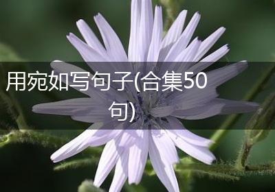 用宛如写句子(合集50句)