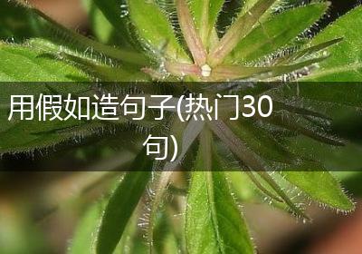 用假如造句子(热门30句)