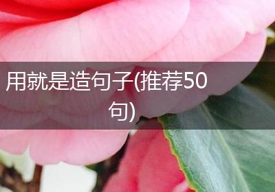 用就是造句子(推荐50句)