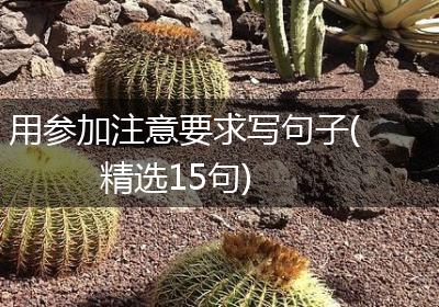 用参加注意要求写句子(精选15句)
