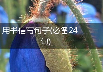 用书信写句子(必备24句)