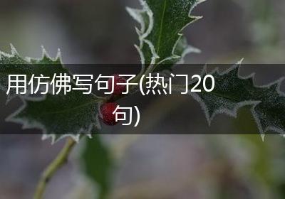 用仿佛写句子(热门20句)