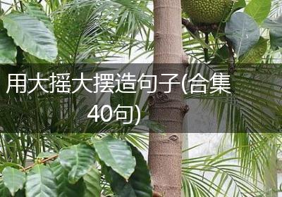 用大摇大摆造句子(合集40句)
