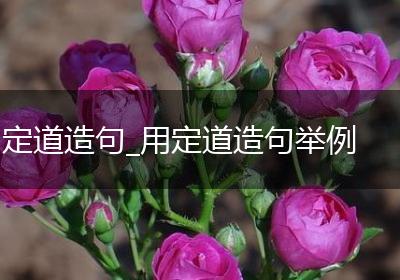 定道造句_用定道造句举例