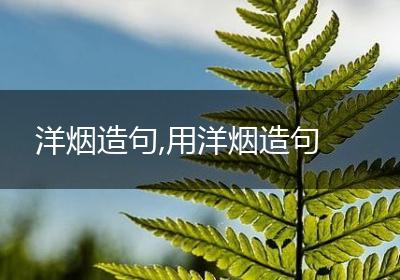 洋烟造句,用洋烟造句