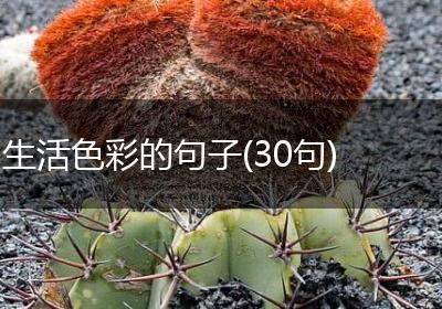 生活色彩的句子(30句)