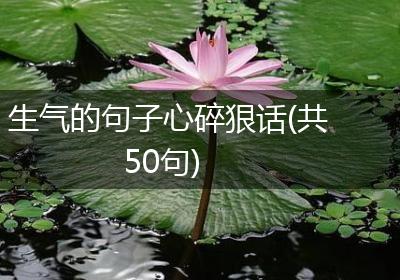 生气的句子心碎狠话(共50句)