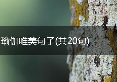 瑜伽唯美句子(共20句)