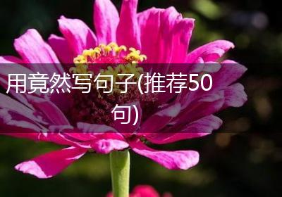 用竟然写句子(推荐50句)