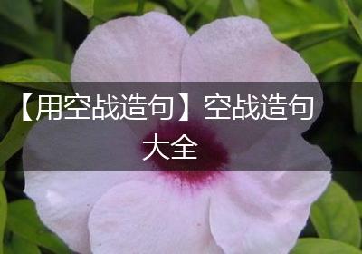 【用空战造句】空战造句大全