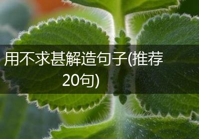用不求甚解造句子(推荐20句)