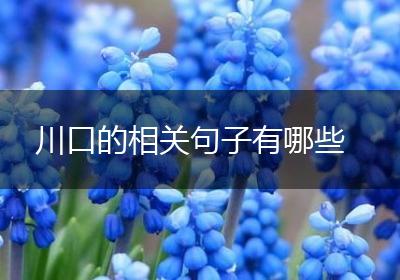 川口的相关句子有哪些