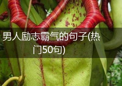 男人励志霸气的句子(热门50句)