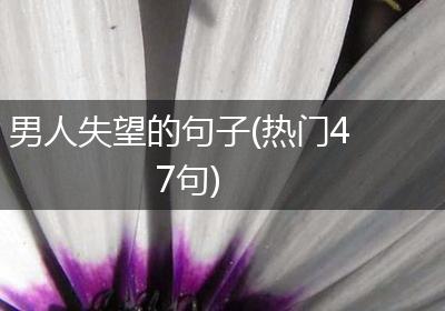 男人失望的句子(热门47句)