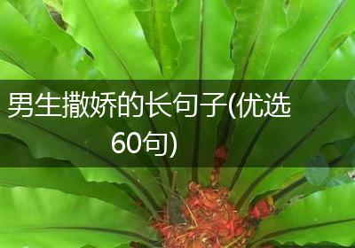 男生撒娇的长句子(优选60句)
