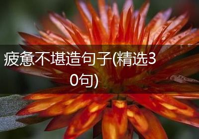 疲惫不堪造句子(精选30句)