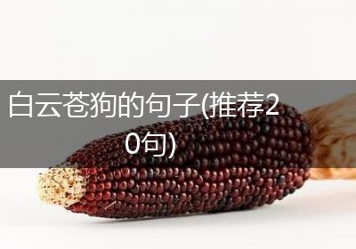 白云苍狗的句子(推荐20句)