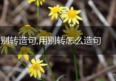 别转造句,用别转怎么造句