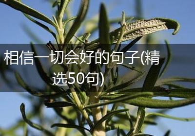 相信一切会好的句子(精选50句)