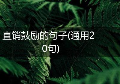 直销鼓励的句子(通用20句)