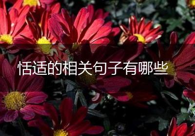 恬适的相关句子有哪些