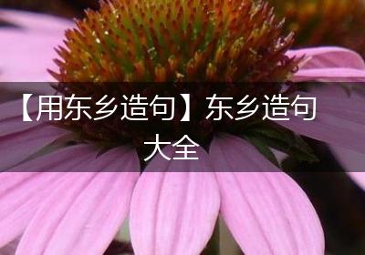 【用东乡造句】东乡造句大全